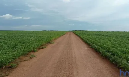 Fazenda para agricultura com 227 alqueires em santa rita do tocantins-to