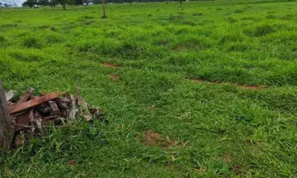 Fazenda com 55 alqueires de dupla aptidão em campina verde-mg