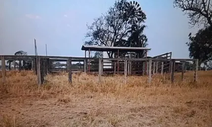 FAZENDA COM 76 ALQUEIRES DUPLA APTIDÃO NO MUNICÍPIO DE CAMPINA VERDE - MG