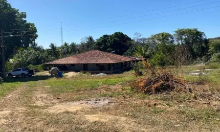 Fazenda para pecuária com 96 alqueires em goianésia-go