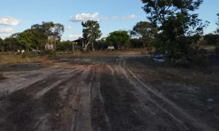 Fazenda bruta com 168 alqueires em ponte alta do tocantins-to