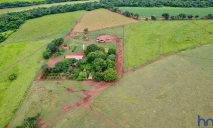 Fazenda de dupla aptidão com 63 alqueires em cachoeira dourada-go
