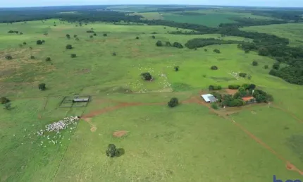 Fazenda com 785 hectares dupla aptidão no município de canarana - mt