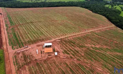 Fazenda com 17 alqueires para laranja em campina verde-mg