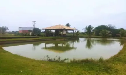 ÓTIMA FAZENDA 130 ALQUEIRES DUPLA APTIDÃO COM CANA ARRENDADA E PISTA DE POUSO EM PANORAMA-SP