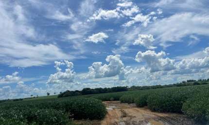ÓTIMA FAZENDA DE DUPLA APTIDÃO COM 435 ALQUEIRES EM MARA ROSA-GO