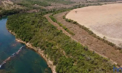 FAZENDA 47 ALQUEIRES EM LAVOURAS EM CAMPO ALEGRE DE GOIÁS-GO