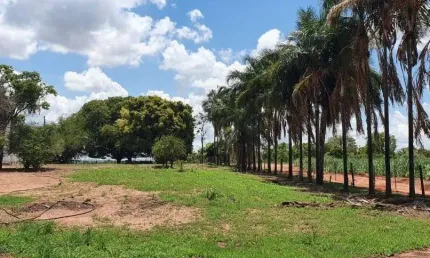 FAZENDA 41 ALQUEIRES DUPLA APTIDÃO EM COMENDADOR GOMES-MG