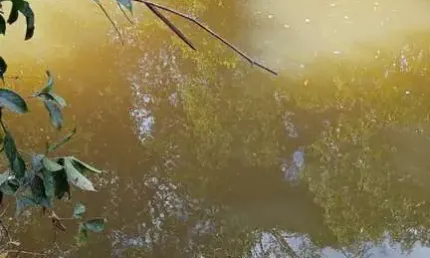 FAZENDA COM 160 ALQUEIRES DE DUPLA APTIDÃO EM RIO SONO-TO