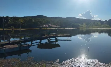 Ótima fazenda dupla aptidão com 227 alqueires em faina-go