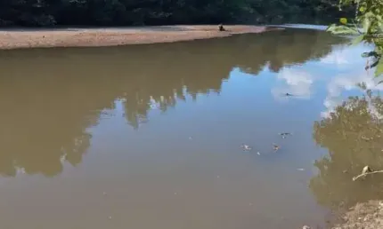Sítio 2 alqueires às margens do rio do peixe em faina-go
