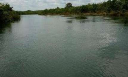 FAZENDA 1.260 ALQUEIRES DE DUPLA APTIDÃO EM DIANÓPOLIS-TO
