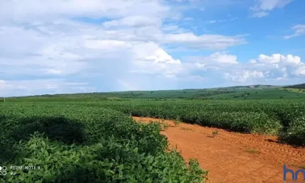 Fazenda com 180 alqueires para acrigultura em doverlândia-go