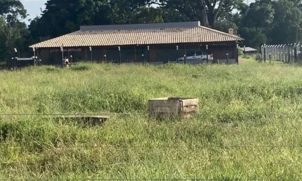 ÓTIMA FAZENDA COM 23 ALQUEIRES DE DUPLA APTIDÃO EM UBERABA-MG