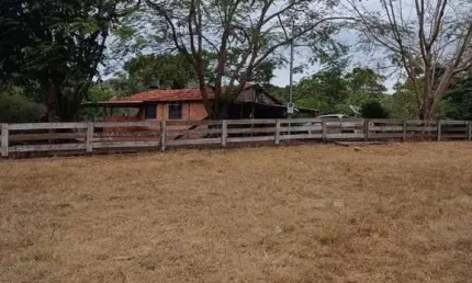 Fazenda dupla aptidão com 66 alqueires em torixoréu-mt