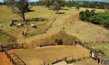 FAZENDA COM 25 ALQUEIRES  PAULISTAS DE DUPLA APTIDÃO EM PIUMHI-MG