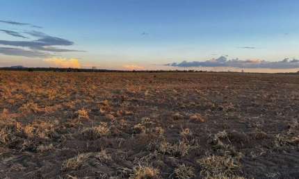 FAZENDA COM 400 ALQUEIRES PARA AGRICULTURA EM XINGUARA-PA