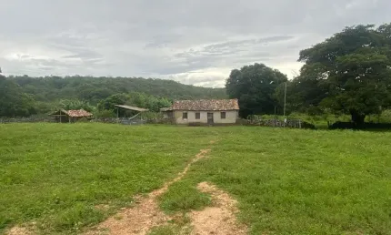 FAZENDA COM 600 ALQUEIRES PARA PECUÁRIA AINDA BRUTA EM ARRAIAS -TO