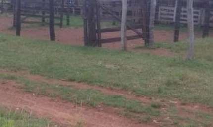 FAZENDA COM 250 ALQUEIRES DE DUPLA APTIDÃO SITUADA NO MUNICÍPIO DE PEIXE-TO