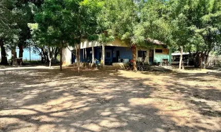 FAZENDA COM 1.000 ALQUEIRES DE DUPLA APTIDÃO EM ALMAS-TO