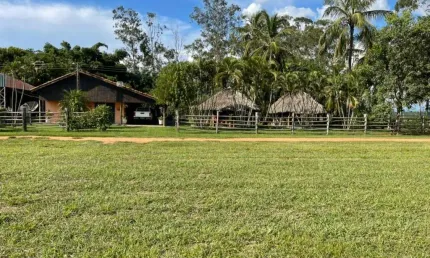 FAZENDA COM 3.234  ALQUEIRES PAULISTAS DUPLA APTIDÃO NO MUNICÍPIO DE ALCINÓPOLIS - MS