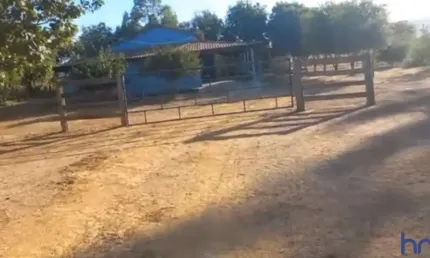 FAZENDA COM 310 ALQUEIRES DE DUPLA APTIDÃO EM PALMEIRÓPOLIS-TO