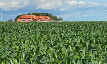 Fazenda com 1.050 alqueires dupla aptidão no município de santana do araguaia - pa