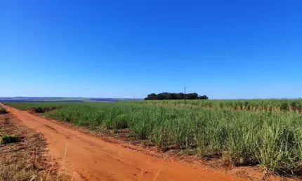 Fazenda com 930 alqueires de dupla aptidão arrendada cana e eucalipto em chapadão do céu-go