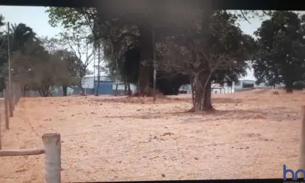 Fazenda de 300 alqueires de dupla aptidão no município do prata-mg