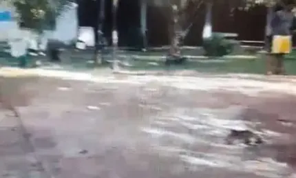 FAZENDA COM 144 ALQUEIRES DUPLA APTIDÃO EM BREJINHO DE NAZARÉ-TO