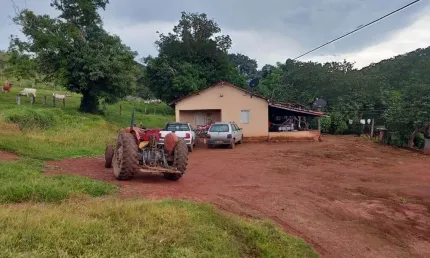 Fazenda para pecuária com 52 alqueires em trombas-go