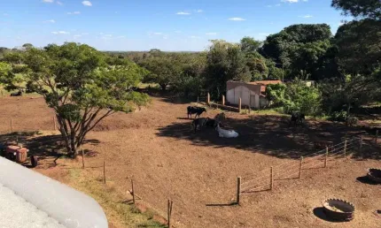 SÍTIO DE 5 ALQUEIRES DE DUPLA APTIDÃO EM UBERLÂNDIA-MG