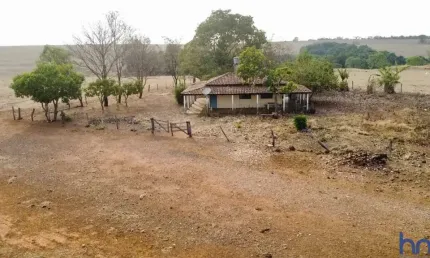 Fazenda extra com 40 alqueires dupla aptidão ipameri-go