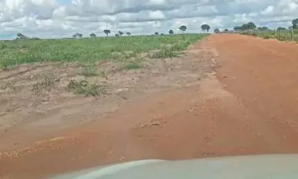 Fazenda com dupla aptidão com 100 alqueires em aruanã-go