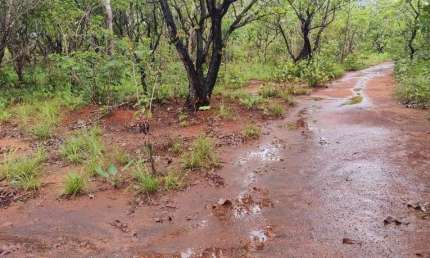 FAZENDA COM 245 ALQUEIRES DE DUPLA APTIDÃO EM ARAGUACEMA-TO