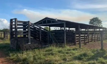 FAZENDA COM 101 ALQUEIRES DUPLA APTIDÃO NO MUNICÍPIO DE DIVINÓPOLIS - TO VALE DO ARAGUAIA