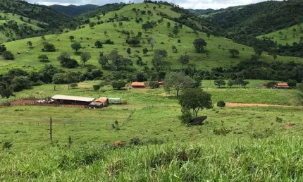 Ótima fazenda para pecuária com 420 alqueires e são luiz do norte-go