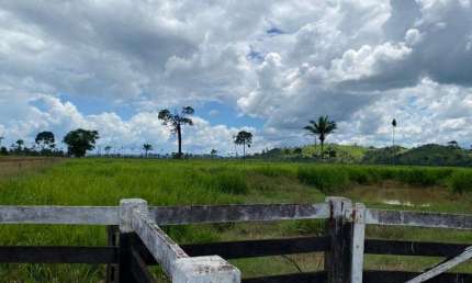 FAZENDA DUPLA APTIDÃO COM 300 ALQUEIRES EM SÃO FÉLIX DO XINGU - PA