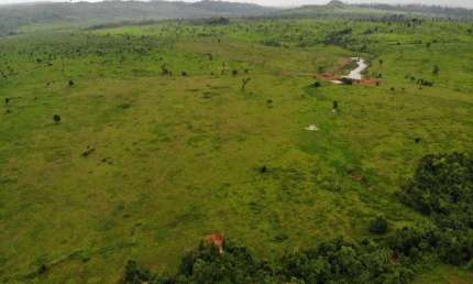 FAZENDA COM 660 ALQUEIRES DUPLA APTIDÃO EM SÃO FÉLIX DO XINGU-PA