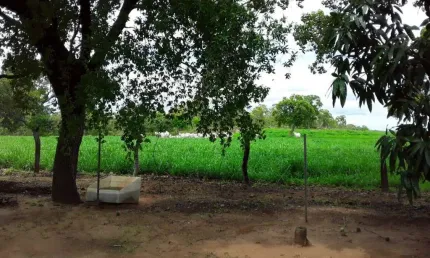 OPORTUNIDADE FAZENDA COM 475 ALQUEIRES DUPLA APTIDÃO EM RIO SONO-TO