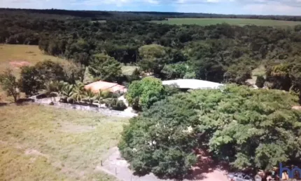 FAZENDA COM 840 ALQUEIRES DUPLA APTIDÃO NO MUNICÍPIO DE NOVO ACORDO - TO