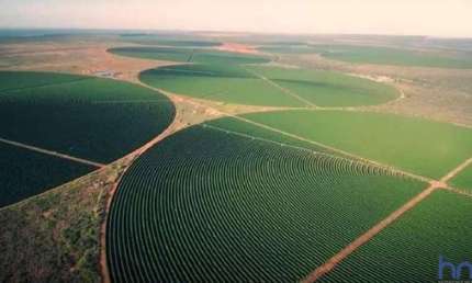 FAZENDA COM 420 ALQUEIRES COM CULTIVO DE CAFÉ IRRIGADO EM BURITIZEIRO-MG