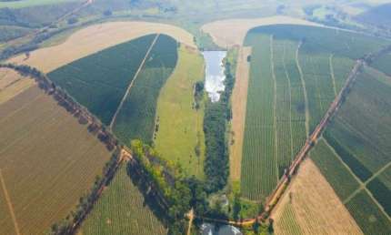 FAZENDA 129 HECTARES AGRICULTURA MUNICÍPIO DE PIUMHI - MG