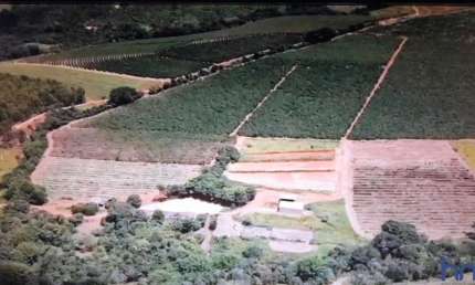 FAZENDA 38 ALQUEIRES PAULISTAS DUPLA APTIDÃO EM CAPITÓLIO-MG