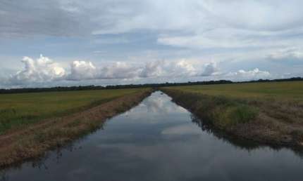 FAZENDA COM 77 ALQUEIRES PARA AGRICULTURA IRRIGADA EM LAGOA DA CONFUSÃO - TO