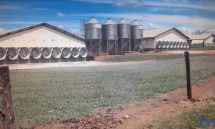 EXCELENTE FAZENDA COM GRANJA COMPLETA DE SUINOS E AVES DUPLA APTIDÃO EM MONTE ALEGRE DE MINAS - MG