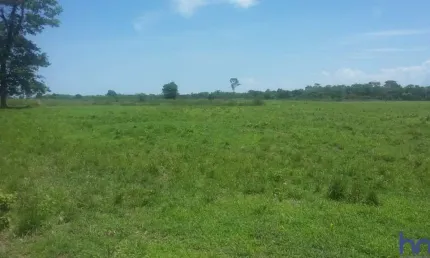 FAZENDA DUPLA APTIDÃO COM 2.416 ALQUEIRES EM FLORES DE GOIÁS - GO