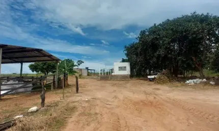 FAZENDA DE 12 ALQUEIRES PARA AGRICULTURA EM MONTE ALEGRE DE MINAS-MG