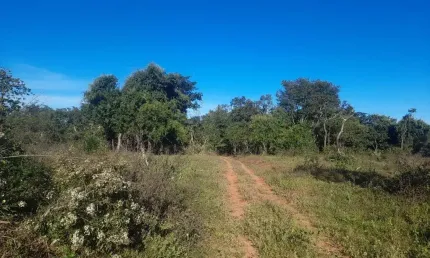 SÍTIO MUITO BEM LOCALIZADO COM 7 ALQUEIRES EM UBERLÂNDIA-MG