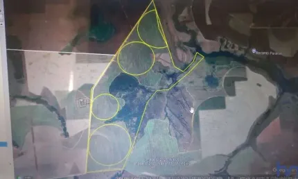 FAZENDA COM 82 ALQUEIRES DE DUPLA APTIDÃO EM CAMPO FLORIDO-MG
